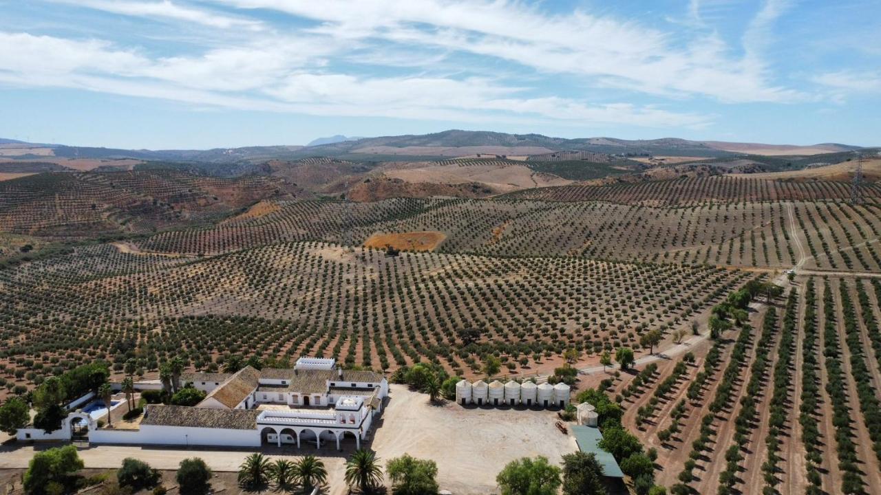 הוילה לה פואבלה דה קסייה Cortijo Donana מראה חיצוני תמונה