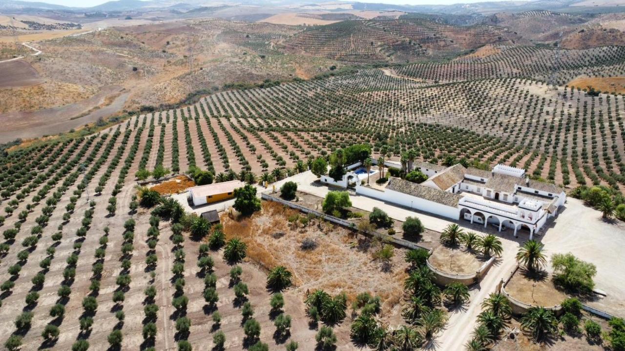 הוילה לה פואבלה דה קסייה Cortijo Donana מראה חיצוני תמונה