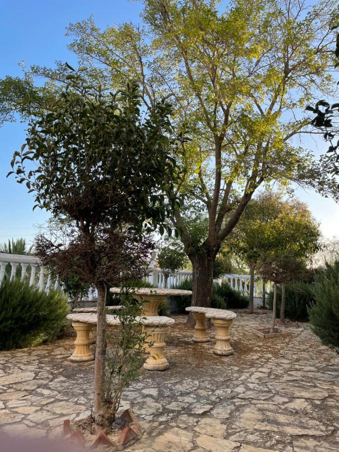 הוילה לה פואבלה דה קסייה Cortijo Donana מראה חיצוני תמונה